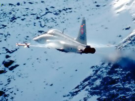 Tiger im Überflug
